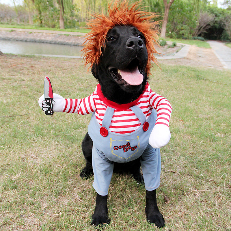 Black Labrador wearing Halloween Chucky-style pet costume with orange wig and holding toy knife prop outdoors
