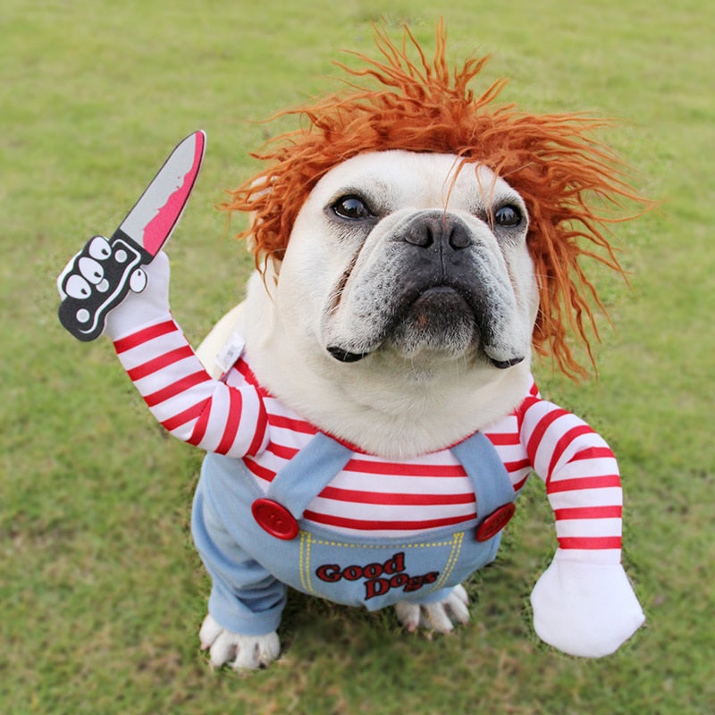 Bulldog wearing funny Halloween Chucky-style pet costume with orange wig and toy knife prop, outdoors on grass