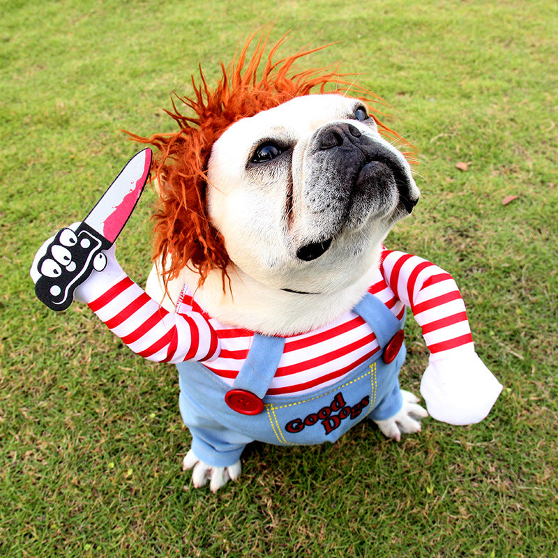 Bulldog looking up wearing Halloween Chucky-style pet costume with orange wig and toy knife prop on grass
