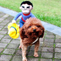 Poodle wearing Halloween Horseman-style pet costume with plush cowboy rider figure and yellow hat prop