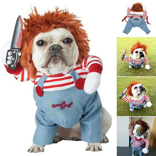 Bulldog standing in full Chucky-style Halloween pet costume with striped shirt, denim overalls, and orange wig